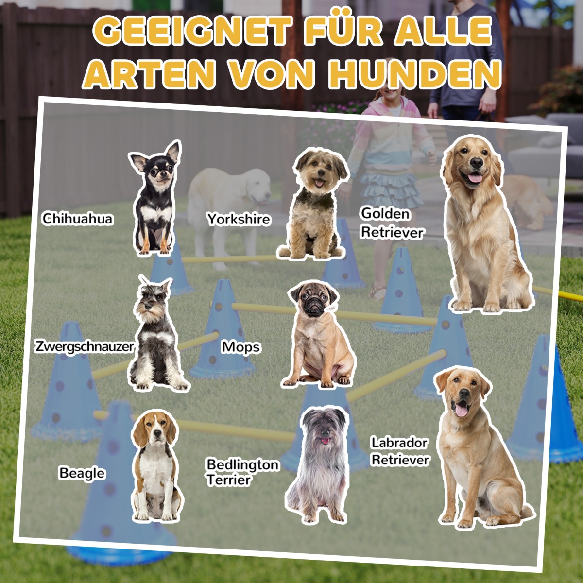 Agility Set Dogs Εξοπλισμός ευκινησίας 6 τεμαχίων για εκγύμναση σκύλων σετ με 12 κώνους τσάντα μεταφοράς 6 εμποδίων