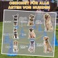 Agility Set Dogs Εξοπλισμός ευκινησίας 6 τεμαχίων για εκγύμναση σκύλων σετ με 12 κώνους τσάντα μεταφοράς 6 εμποδίων
