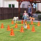 Agility Set Dogs Εξοπλισμός ευκινησίας 6 τεμαχίων για εκγύμναση σκύλων σετ με 12 κώνους τσάντα μεταφοράς 6 εμποδίων