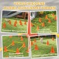 Agility Set Dogs Εξοπλισμός ευκινησίας 6 τεμαχίων για εκγύμναση σκύλων σετ με 12 κώνους τσάντα μεταφοράς 6 εμποδίων