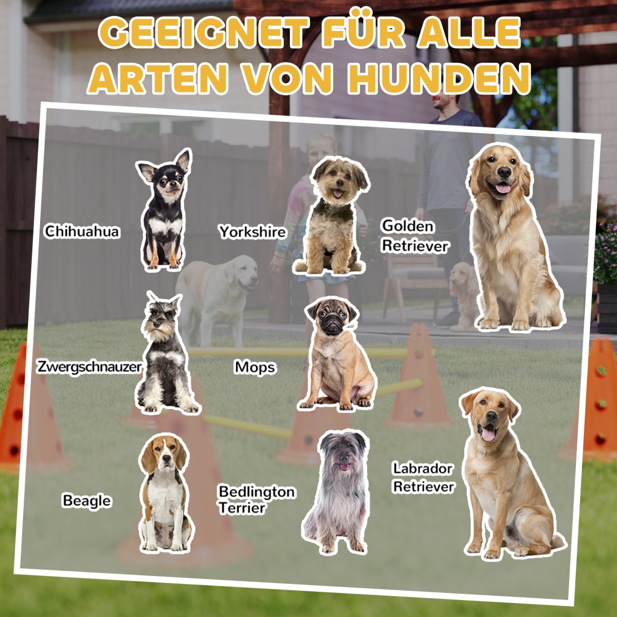 Agility Set Dogs Εξοπλισμός ευκινησίας 6 τεμαχίων για εκγύμναση σκύλων σετ με 12 κώνους τσάντα μεταφοράς 6 εμποδίων
