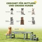 Dog Agility Σετ 3 τεμαχίων εξοπλισμού ευκινησίας με γέφυρα, σκάλες, πλατφόρμα, ξύλο ελάτης, 117 x 50 x 56 cm, γκρι