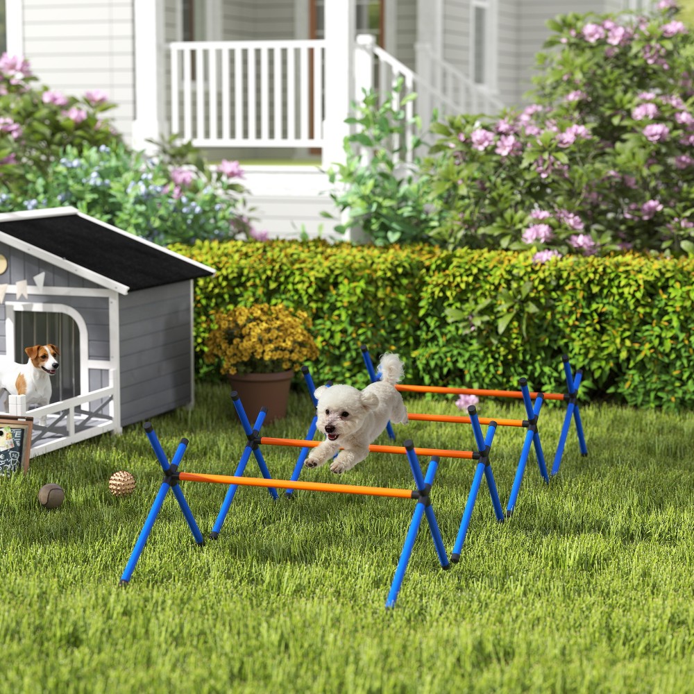 Σετ Agility για σκύλους, 4 τεμάχια, εξοπλισμός Agility με εμπόδια, τσάντα μεταφοράς, ρυθμιζόμενο ύψος, σετ προπόνησης για μικρούς σκύλους