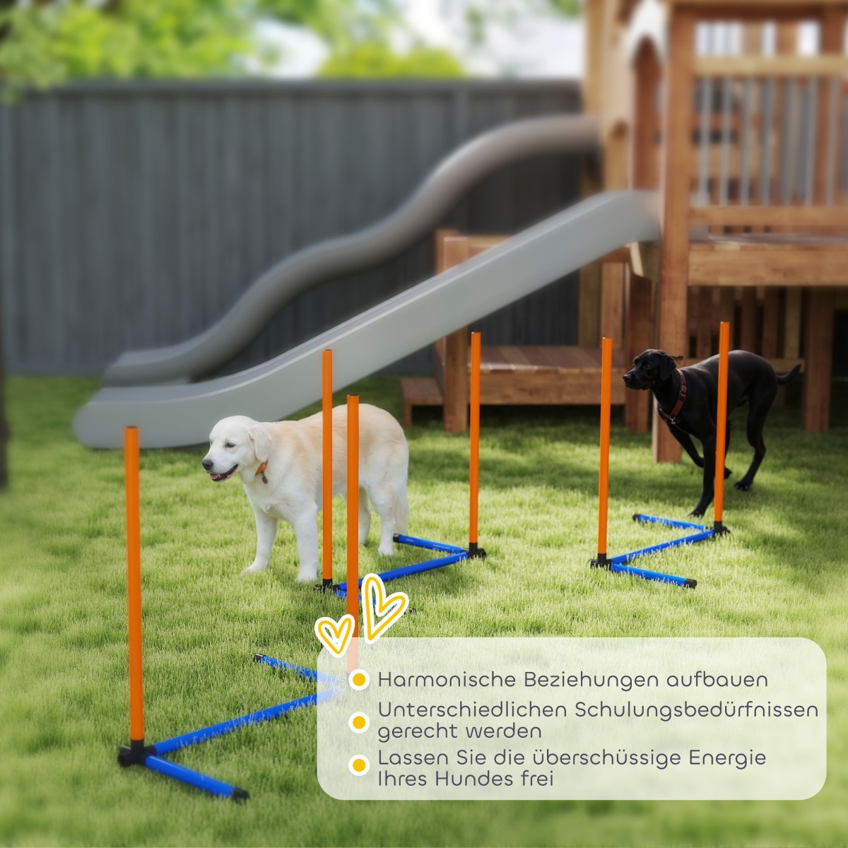 Agility Set Dogs 3-Pece Agility Equipment with Slalom Poles Carry Bag Set για όλα τα μεγέθη σκύλων Πορτοκαλί