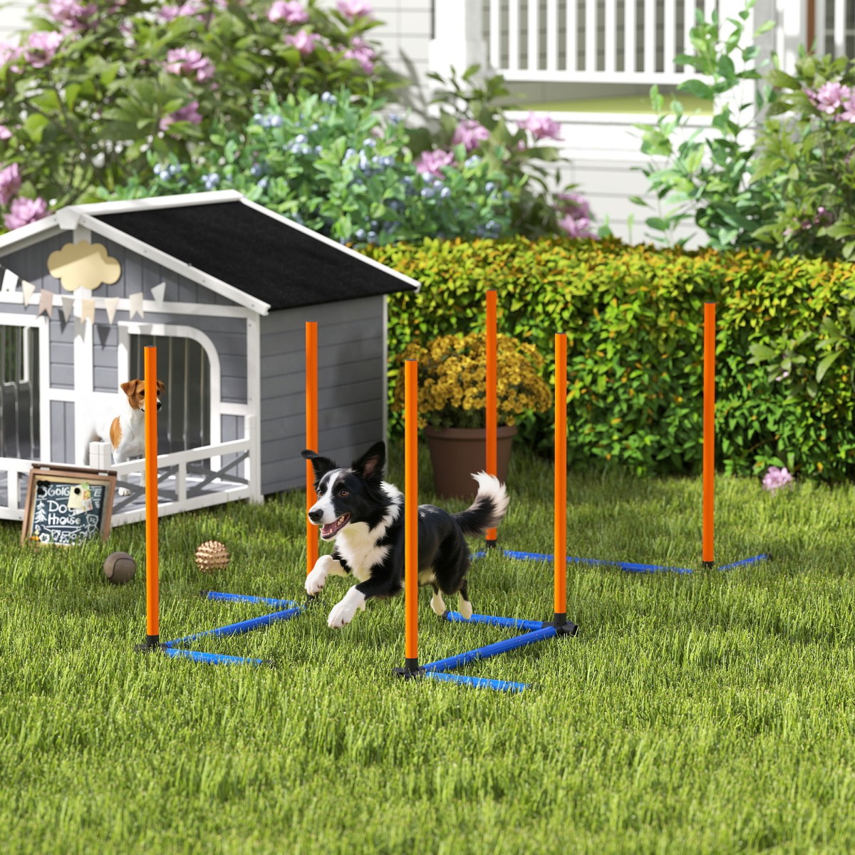 Agility Set Dogs 3-Pece Agility Equipment with Slalom Poles Carry Bag Set για όλα τα μεγέθη σκύλων Πορτοκαλί
