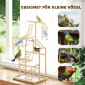 Bird Stand Bird Perch Σετ 4 επιπέδων Δίσκος από ανοξείδωτο ατσάλι Παιχνίδι από φυσικό ξύλο