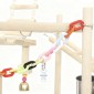 Bird Stand Bird Perch Σετ 4 επιπέδων Δίσκος από ανοξείδωτο ατσάλι Παιχνίδι από φυσικό ξύλο