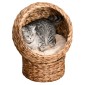 Rattan Cat Basket Cat Cave Cat Hut Κρεβάτι γάτας με μαξιλάρι Κρεβάτι για κατοικίδια Νερό Υάκινθος Καφέ 50 x 42 x 60 cm