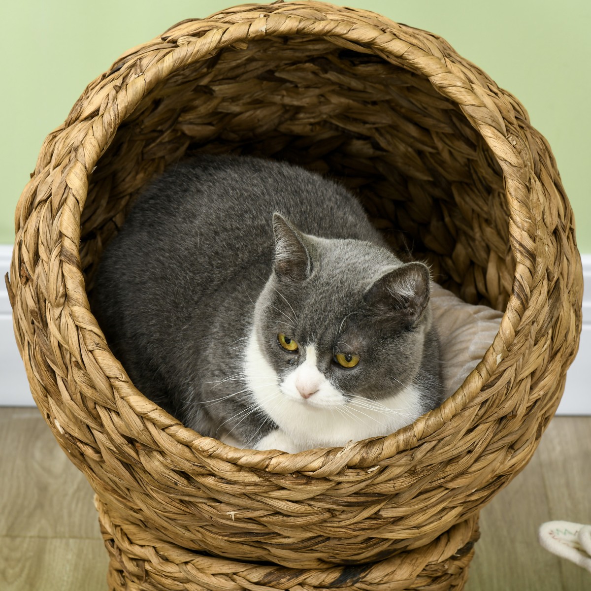 Rattan Cat Basket Cat Cave Cat Hut Κρεβάτι γάτας με μαξιλάρι Κρεβάτι για κατοικίδια Νερό Υάκινθος Καφέ 40 x 37 x 51 εκ.