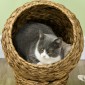 Rattan Cat Basket Cat Cave Cat Hut Κρεβάτι γάτας με μαξιλάρι Κρεβάτι για κατοικίδια Νερό Υάκινθος Καφέ 40 x 37 x 51 εκ.