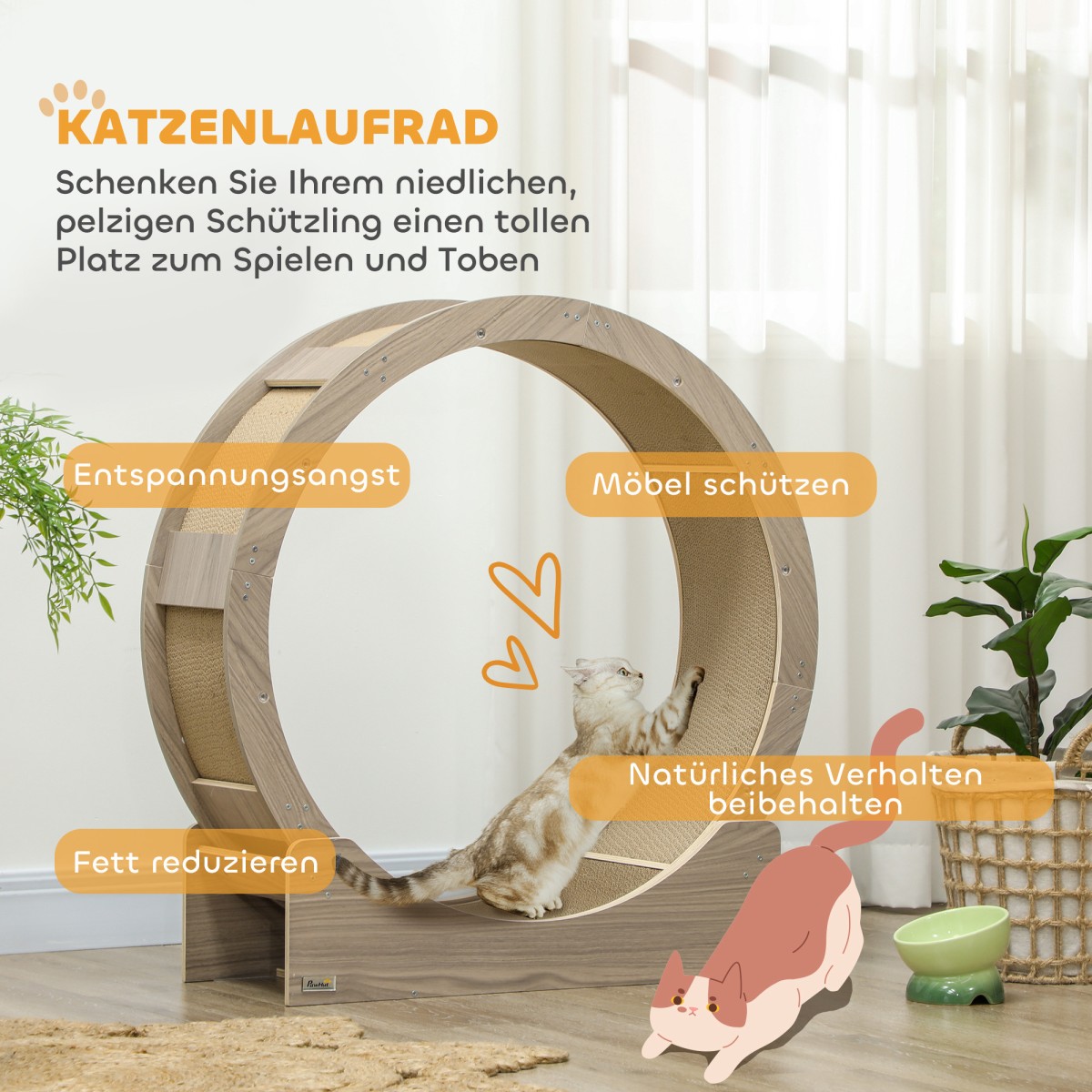 Cat Balance Bike, 36" Cat Balance Bike with Brake, Scratching Mat, Cat Wheel for Healthy Exercise, Walnut