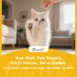 Cat Scratching Post Cat Tower 2 Caves Platform Sisal Post Compact Σκούρο Γκρι