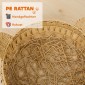 Σπήλαιο γάτας rattan κρεβάτι γάτας με αφαιρούμενο μαξιλάρι, καλάθι γάτας για γάτες έως 10 κιλά, 50 x 50 x 25 cm, ανοιχτό καφέ