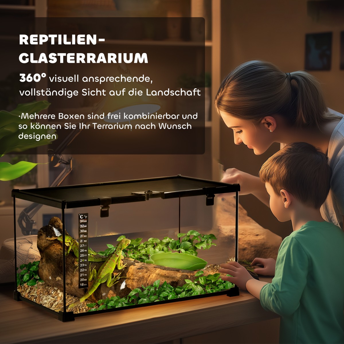 Reptile box terrarium, με θερμόμετρο λωρίδων, πτερύγια τροφοδοσίας, 50 cm x 30 cm x 25 cm, γυαλί + μέταλλο, μαύρο