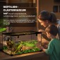 Reptile box terrarium, με θερμόμετρο λωρίδων, πτερύγια τροφοδοσίας, 50 cm x 30 cm x 25 cm, γυαλί + μέταλλο, μαύρο