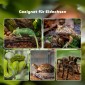 Reptile box terrarium, με θερμόμετρο λωρίδων, πτερύγια τροφοδοσίας, 50 cm x 30 cm x 25 cm, γυαλί + μέταλλο, μαύρο