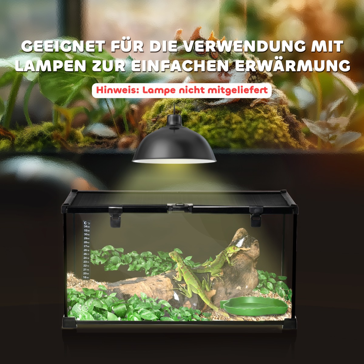 Reptile box terrarium, με θερμόμετρο λωρίδων, πτερύγια τροφοδοσίας, 50 cm x 30 cm x 25 cm, γυαλί + μέταλλο, μαύρο