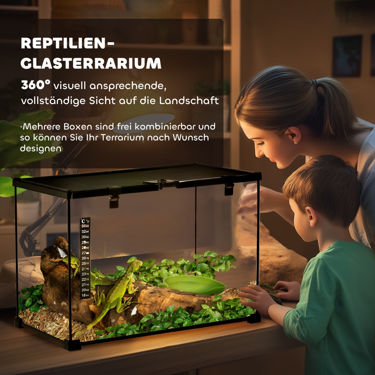 Terrarium for Reptiles Reptile Feeding Box Glass Terrarium Amphibians Arachnids with Thermometer Reptile Breeding Box for Snails Amphibians Insects Turtles Black 50 x 30 x 35 cm