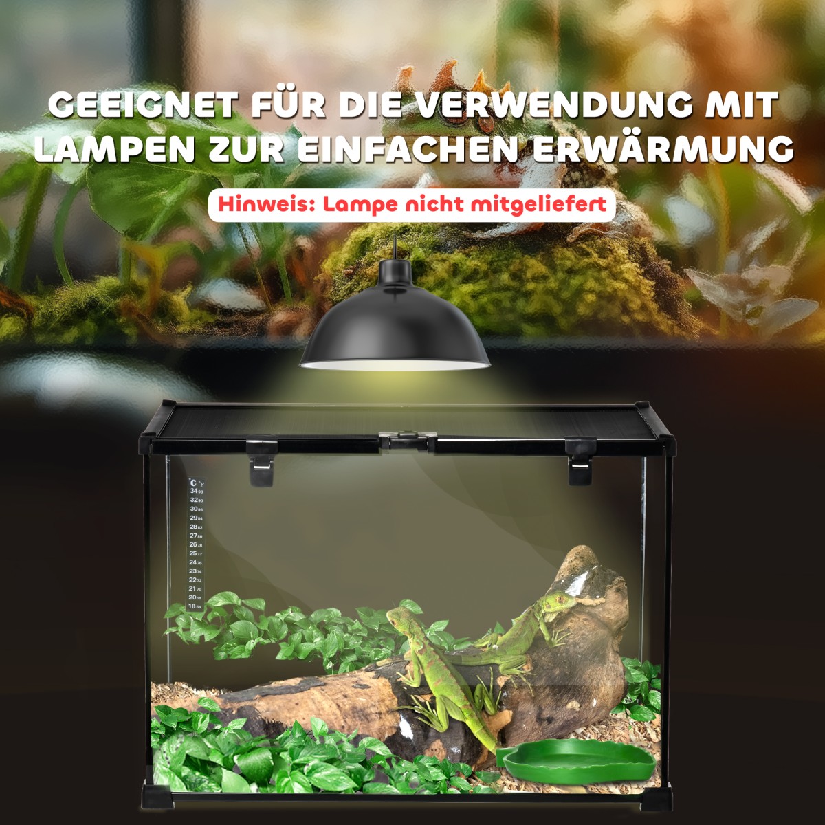 Terrarium for Reptiles Reptile Feeding Box Glass Terrarium Amphibians Arachnids with Thermometer Reptile Breeding Box for Snails Amphibians Insects Turtles Black 50 x 30 x 35 cm