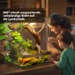 Terrarium, γυάλινο περίβλημα, κλειδαριά, διαχείριση καλωδίων, 45x45x60cm, μαύρο