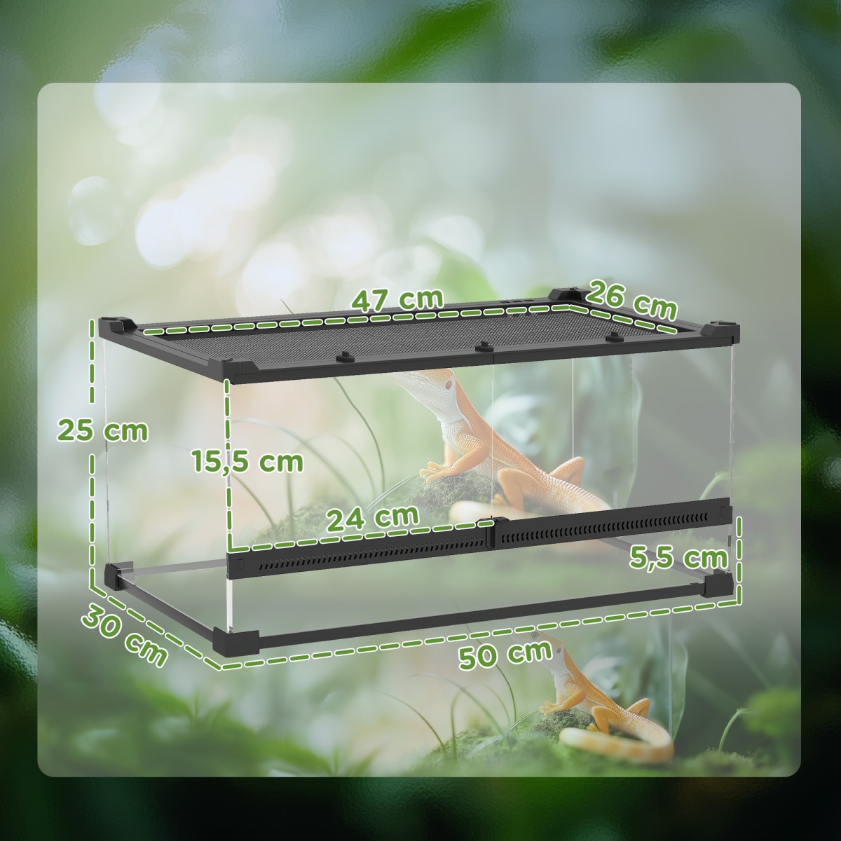 Γυάλινο Terrarium για Ερπετά, Ανυψωμένη & Αδιάβροχη Βάση, Κλειδαριά με Κουμπιά
