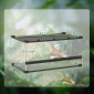 Γυάλινο Terrarium για Ερπετά, Ανυψωμένη & Αδιάβροχη Βάση, Κλειδαριά με Κουμπιά