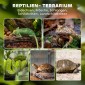 Γυάλινο Terrarium για Ερπετά, Ανυψωμένη & Αδιάβροχη Βάση, Κλειδαριά με Κουμπιά