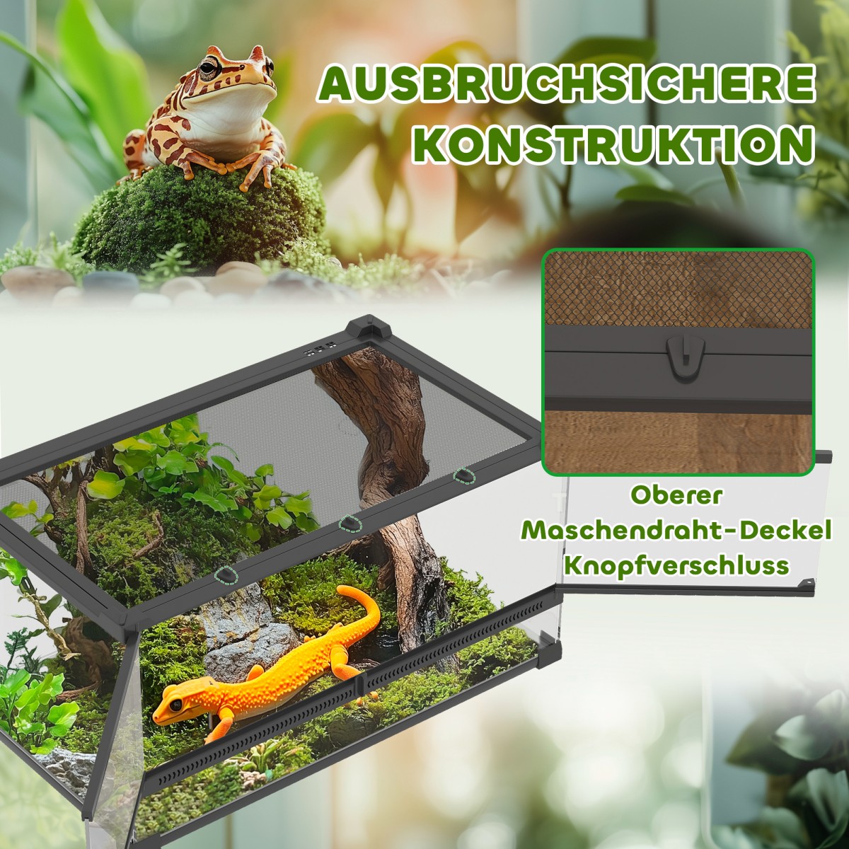Γυάλινο Terrarium για Ερπετά, Ανυψωμένη & Αδιάβροχη Βάση, Κλειδαριά με Κουμπιά