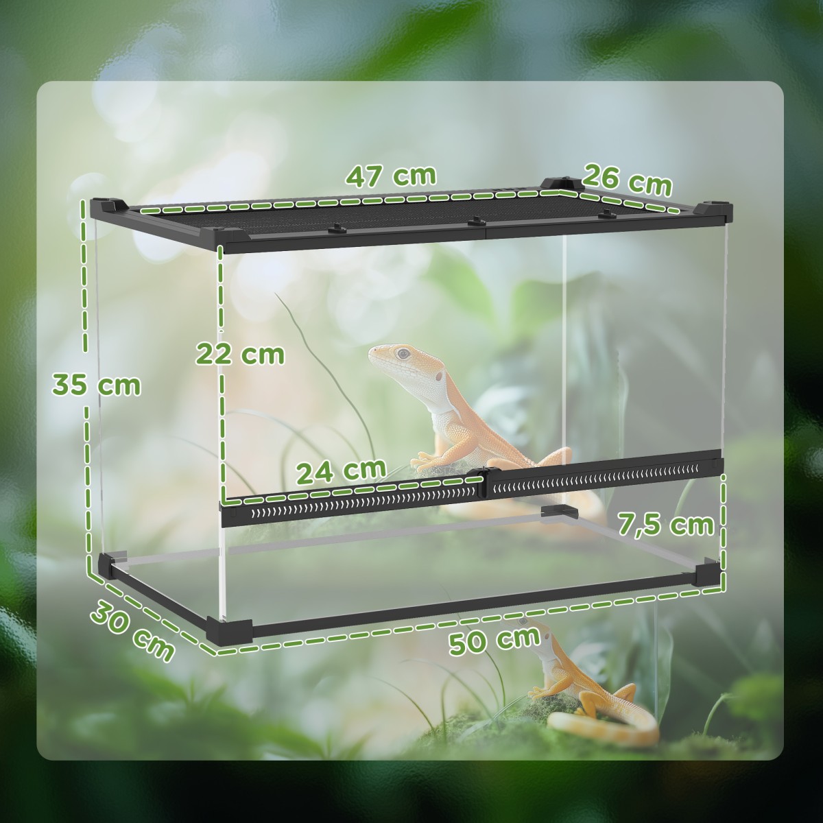 Γυάλινο Terrarium για Ερπετά, Ανυψωμένη & Αδιάβροχη Βάση, Κλειδαριά με Κουμπιά