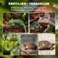 Γυάλινο Terrarium για Ερπετά, Ανυψωμένη & Αδιάβροχη Βάση, Κλειδαριά με Κουμπιά