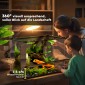Γυάλινο Terrarium για Ερπετά, Ανυψωμένη & Αδιάβροχη Βάση, Κλειδαριά με Κουμπιά