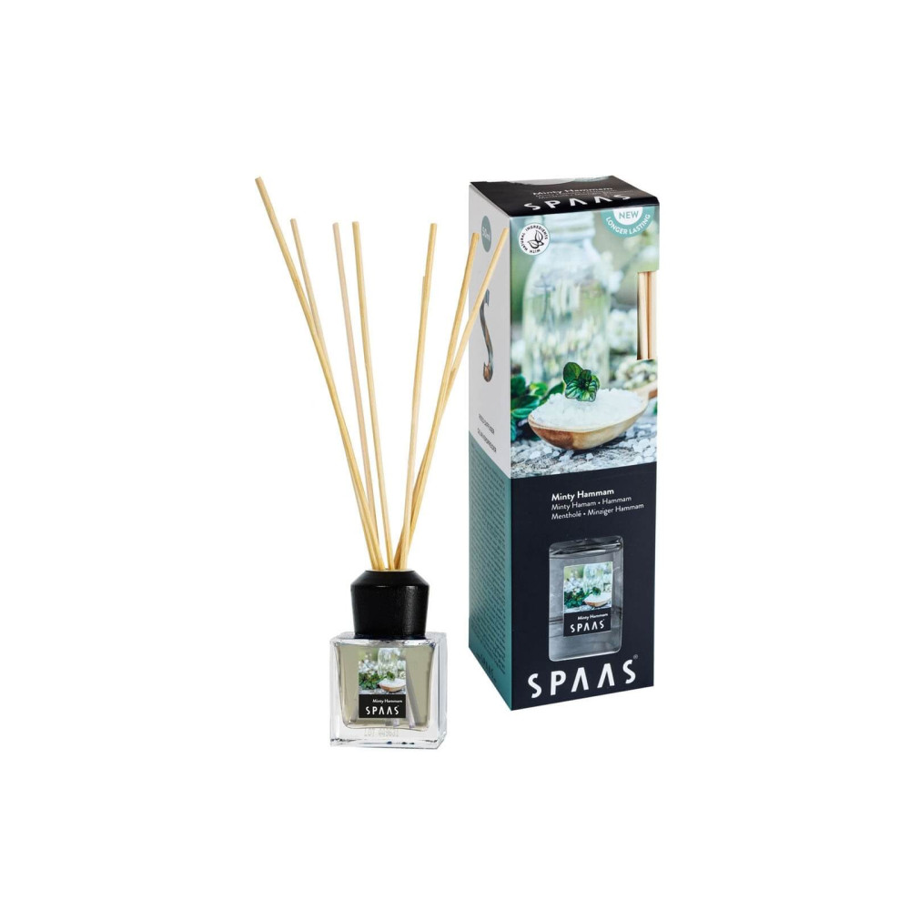 ΑΡΩΜΑΤΙΚΆ XΏΡΟΥ ΜΕ STICKS SPAAS REED DIFFUSER MINTY HAMMAM 50 ML