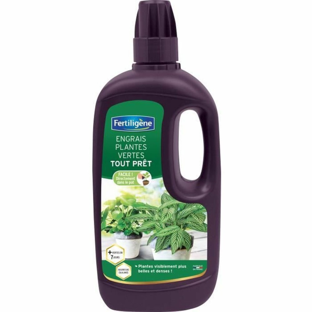 Οργανικό λίπασμα Fertiligène Green Plant 1 L
