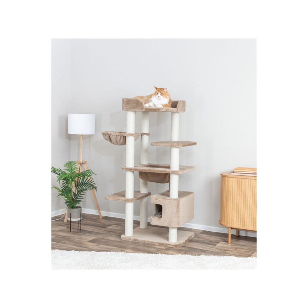 Αποξέστη για Γάτες Trixie XXL Brunna Χρώμα Τεφρόχρουν 165 cm