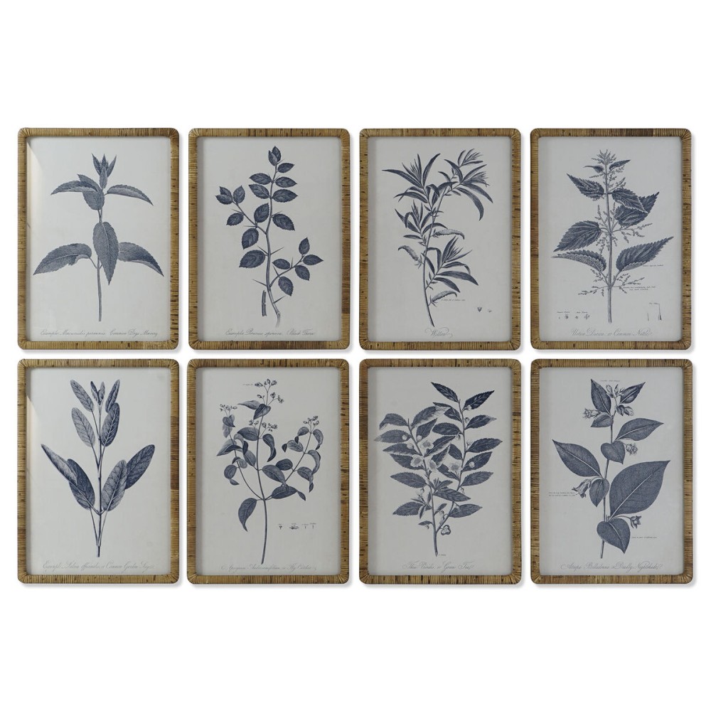 Πίνακας DKD Home Decor Σύγχρονη Βοτανικά φυτά 50 x 2,5 x 70 cm (8 Μονάδες)