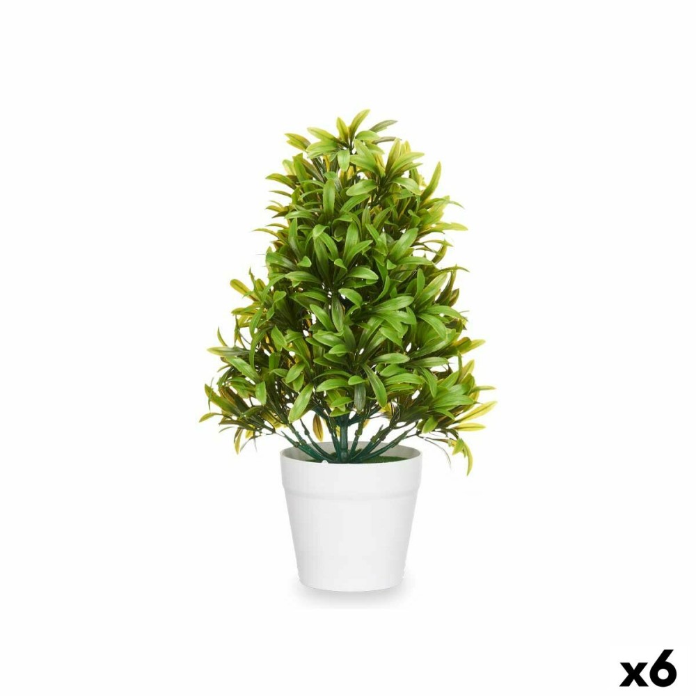 Διακοσμητικό Φυτό Πλαστική ύλη 18 x 35 x 16 cm (x6)