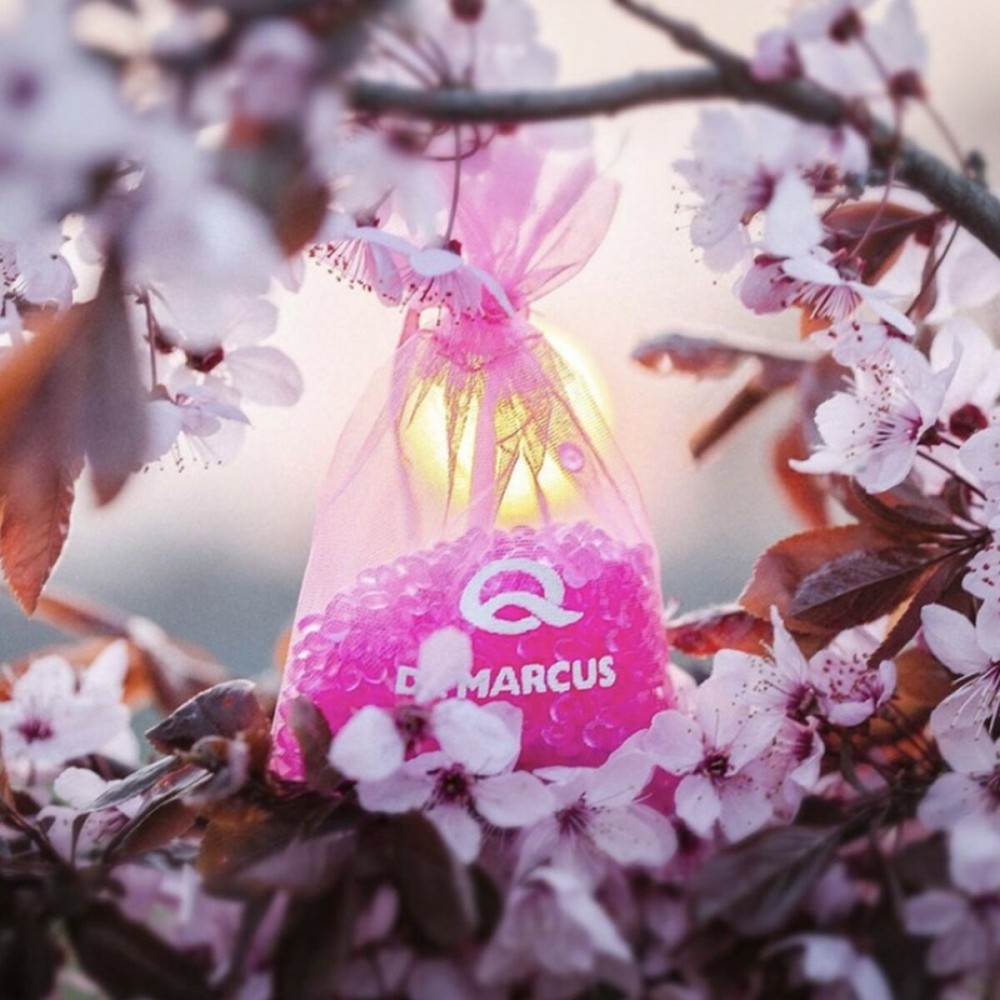 Αποσμητικό Αυτοκινήτου Dr Marcus Fresh Bag Chicle Άρωμα Φακελάκι