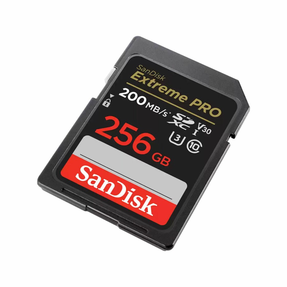 Κάρτα Μνήμης SDHC Western Digital SDSDXXD 256 GB