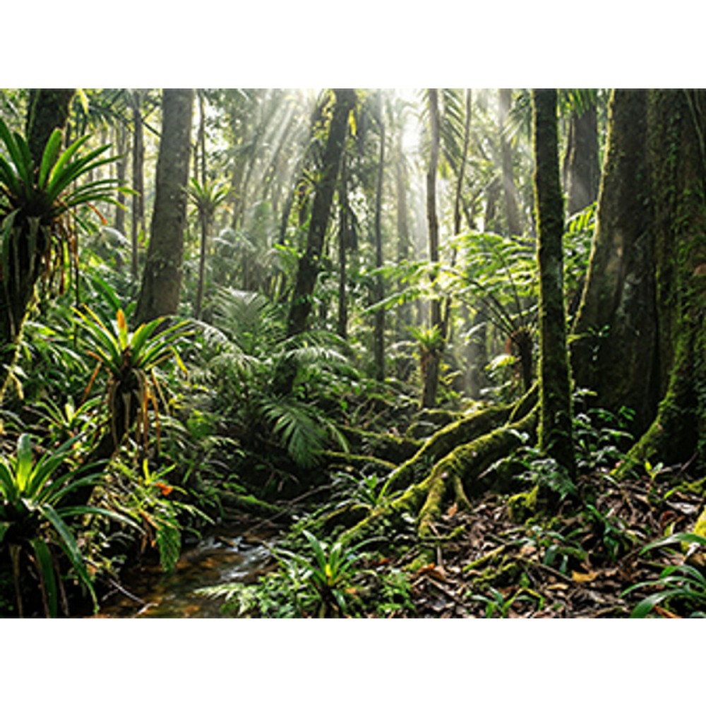 Laptop HP D4PG1AT#ABE 14" 32 GB RAM 512 GB SSD