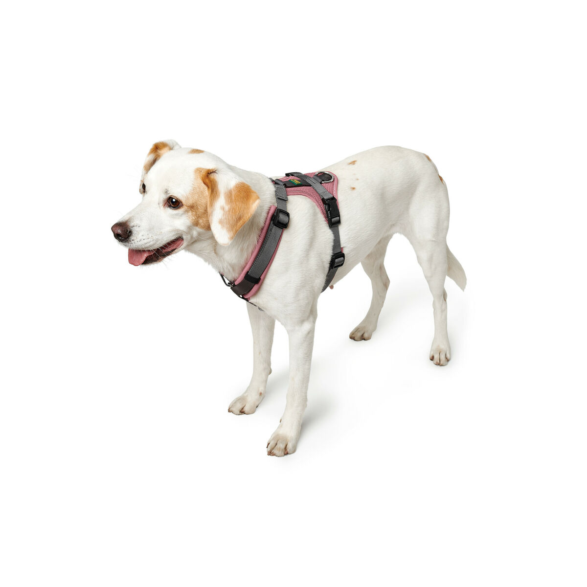 Λουρί Σκύλου Hunter Maldon Up Ροζ 66-118 cm