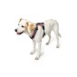 Λουρί Σκύλου Hunter Maldon Up Ροζ 66-118 cm