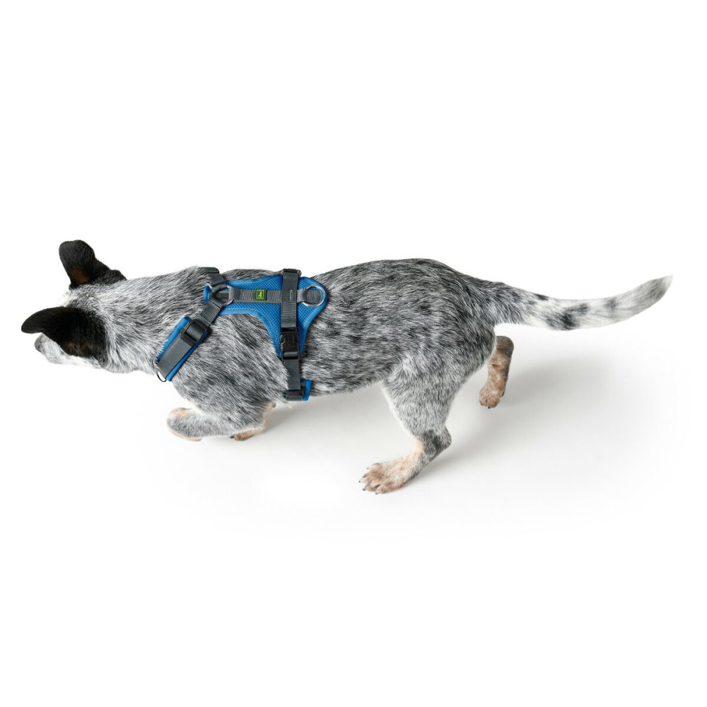 Λουρί Σκύλου Hunter Maldon Up Μπλε 66-118 cm