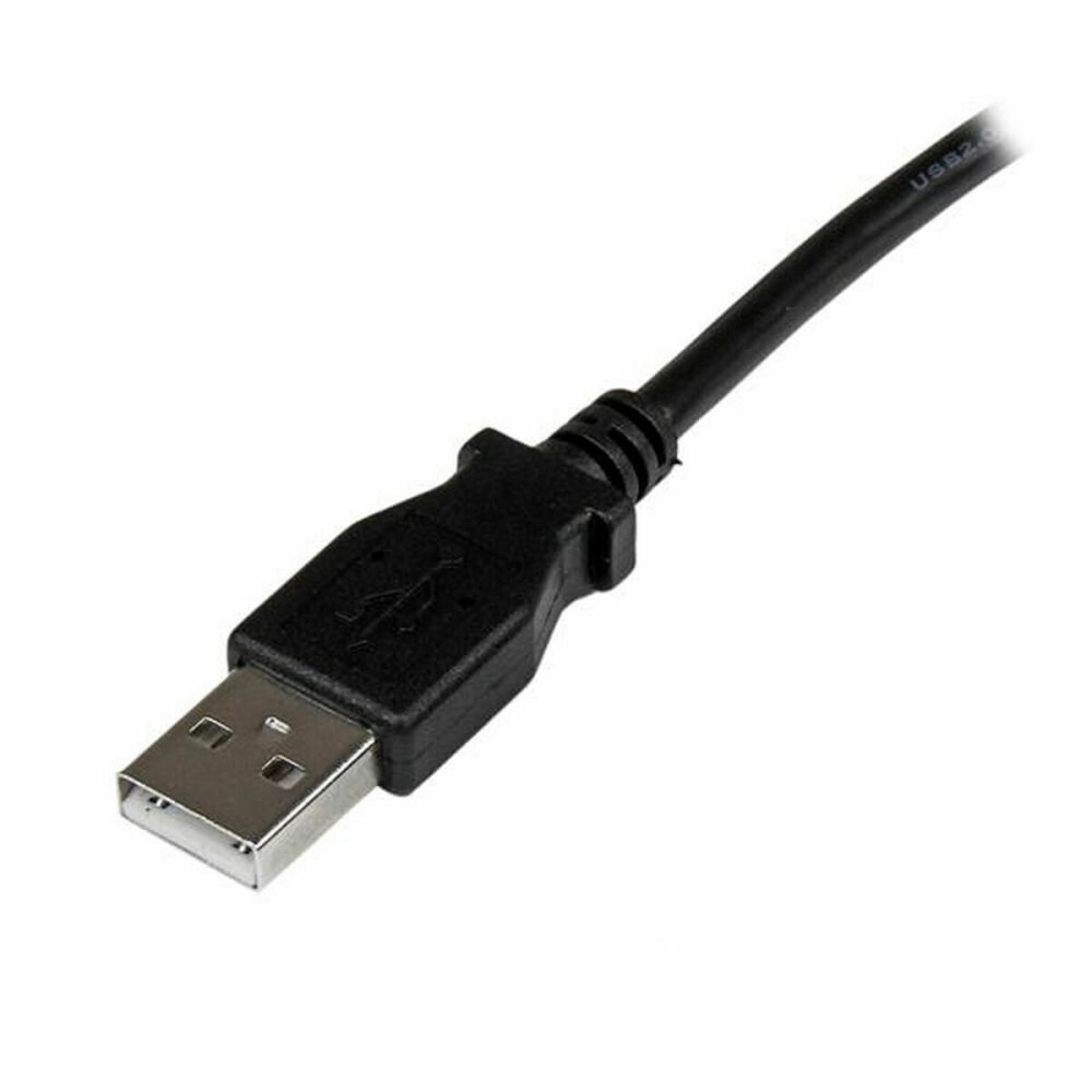 Καλώδιο USB A σε USB B Startech USBAB2MR 2 m