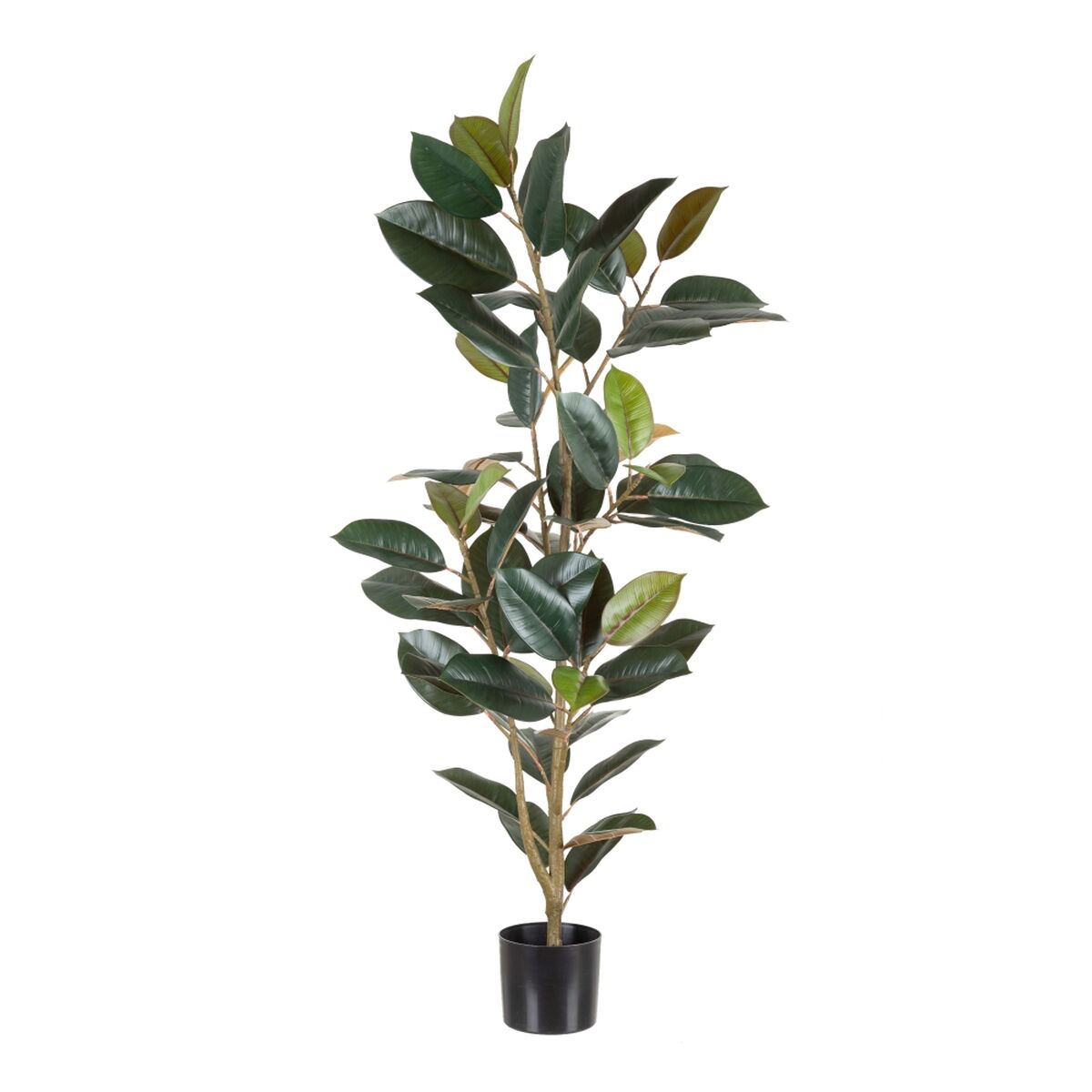 Διακοσμητικό Φυτό PVC Σίδερο Ficus 49 x 45 x 125 cm