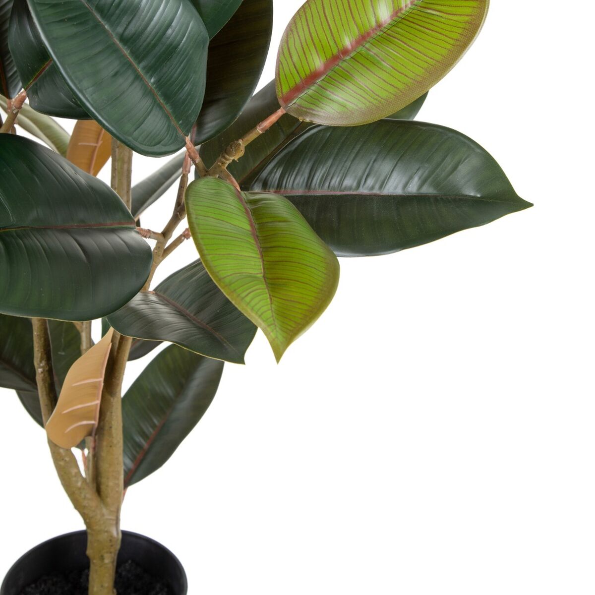 Διακοσμητικό Φυτό PVC Σίδερο Ficus 49 x 45 x 125 cm