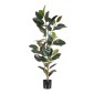 Διακοσμητικό Φυτό PVC Σίδερο Ficus 49 x 45 x 125 cm