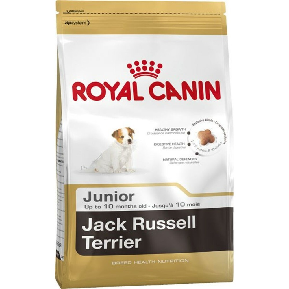 Φαγητό για ζώα Royal Canin Jack Russell Junior Κουτάβι / Junior ρύζι Πουλιά 3 Kg