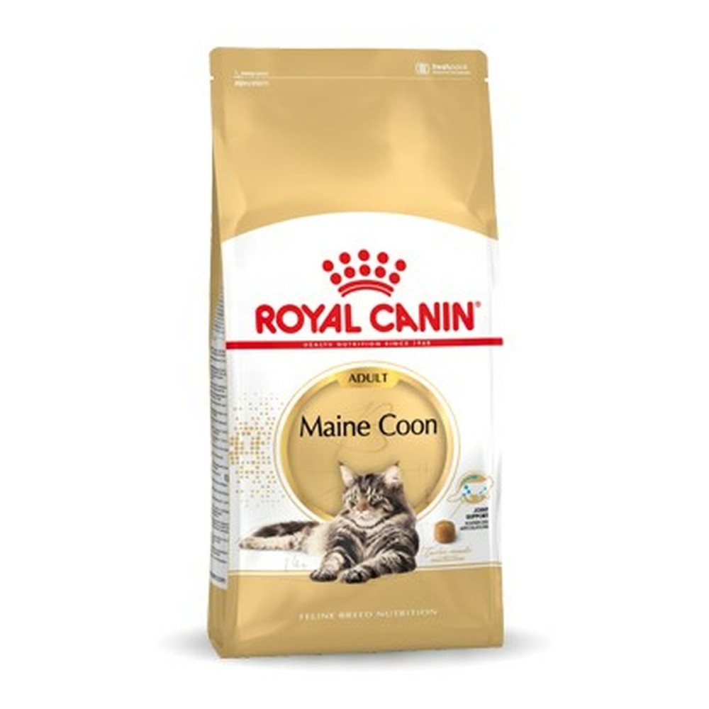 Γατοτροφή Royal Canin Maine Coon Adult + 1 Έτος Ενηλίκων Πουλιά 10 kg