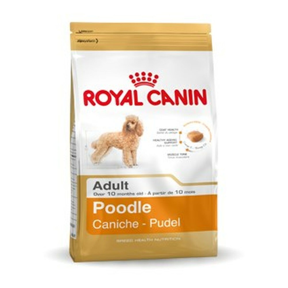 Φαγητό για ζώα Royal Canin Poodle Adult Ενηλίκων 1,5 Kg