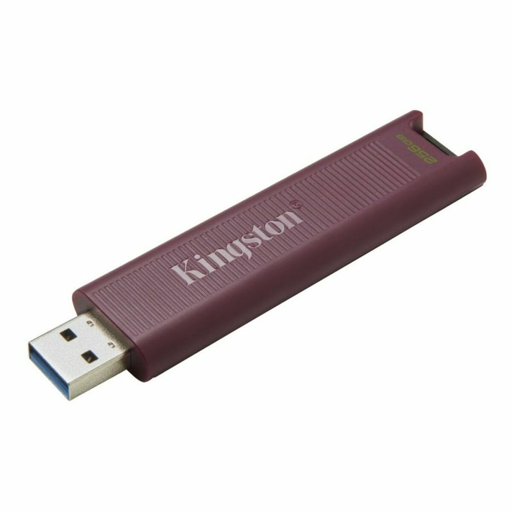 Στικάκι USB   Kingston Max         Κόκκινο 256 GB